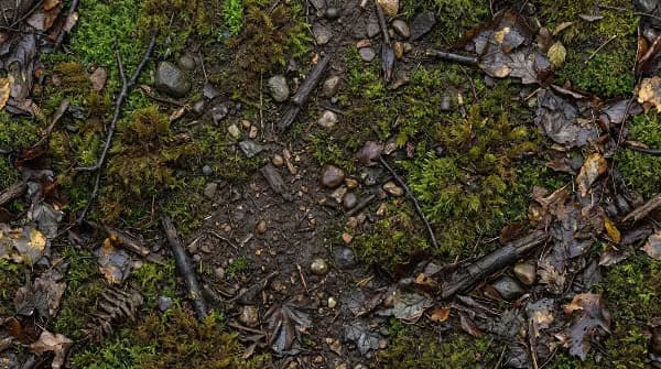 Seamless_tileable_forest_floor_ground_texture_comp_delpmaspu
